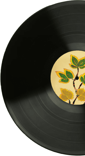 Custom Vinyl Records